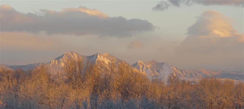 Wheat Ridge, CO